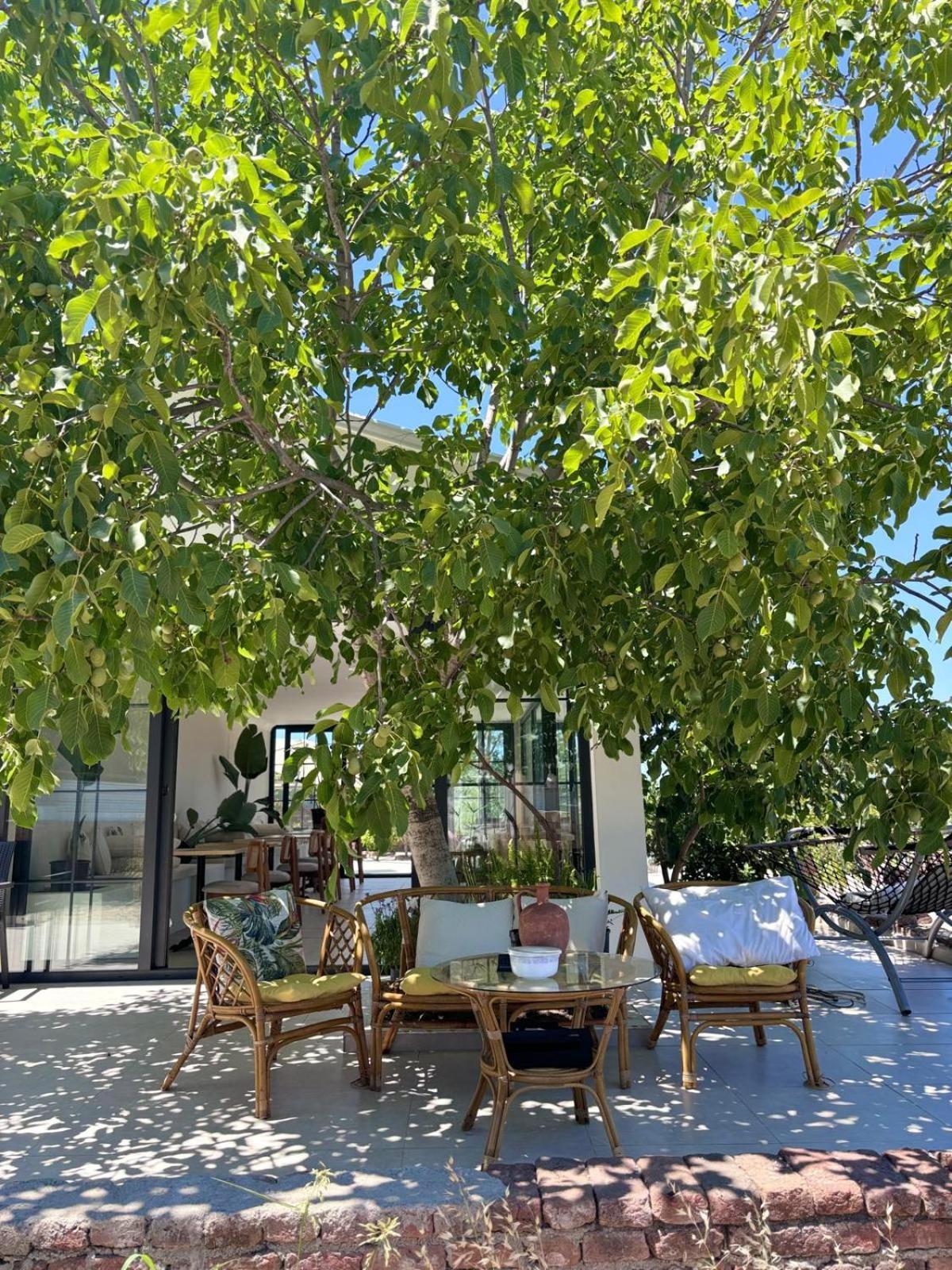 Casa Mora Aparthotel Едремит Екстериор снимка